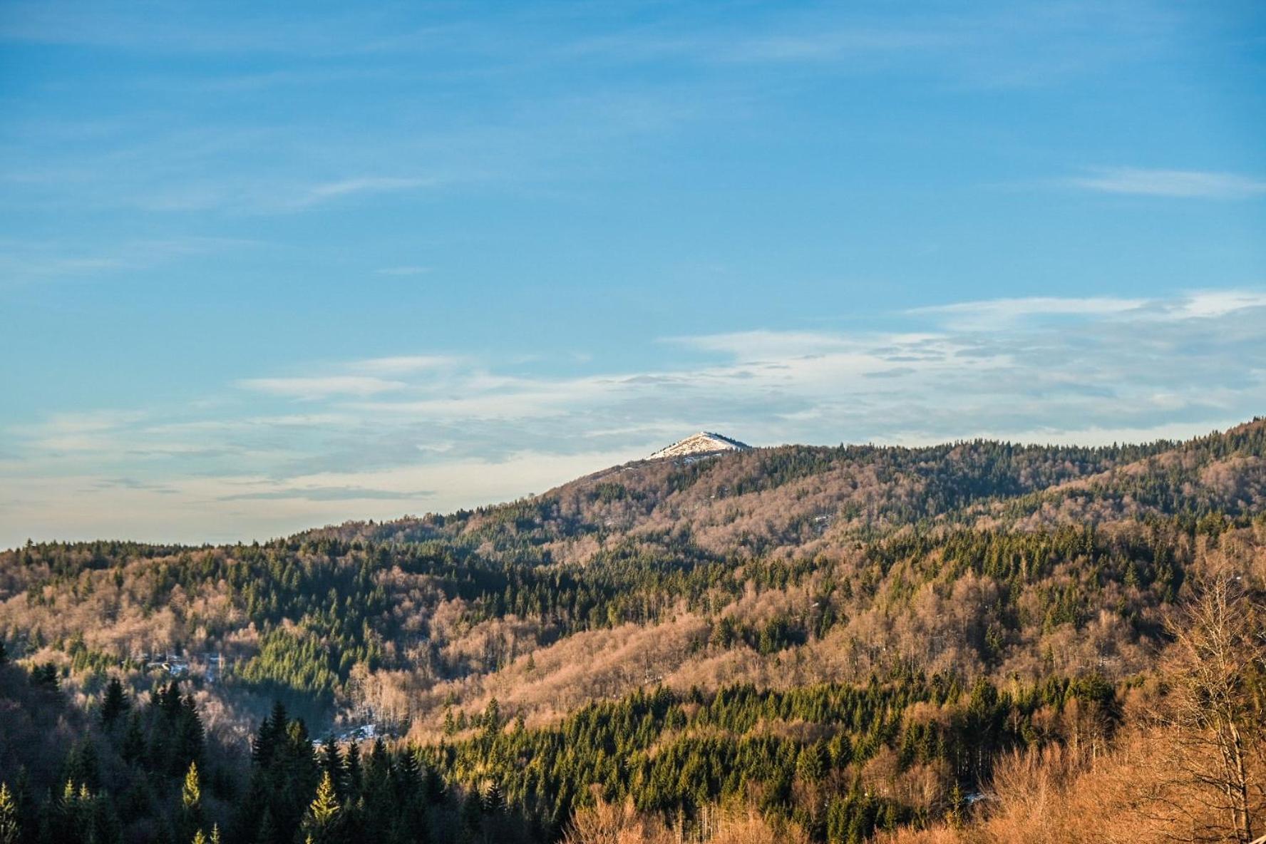 Vila Cajetinski Biser -Apartment Lux Kopaonik Bagian luar foto