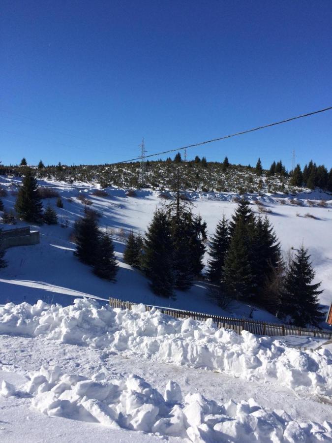 Vila Cajetinski Biser -Apartment Lux Kopaonik Bagian luar foto