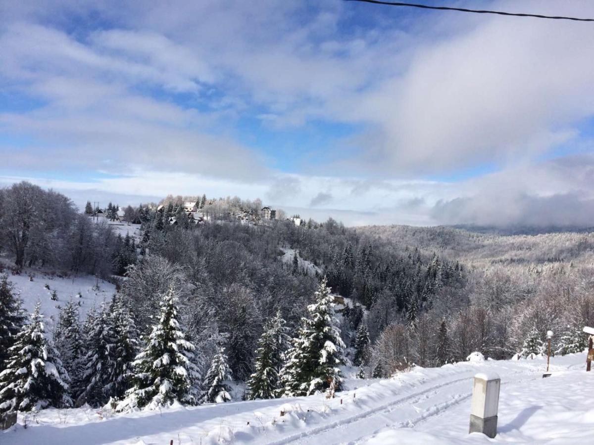 Vila Cajetinski Biser -Apartment Lux Kopaonik Bagian luar foto